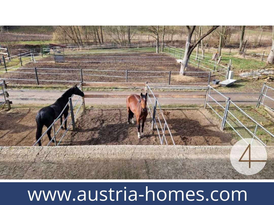 austria-homes-mank-3240-20260118204829-0059401046.jpg