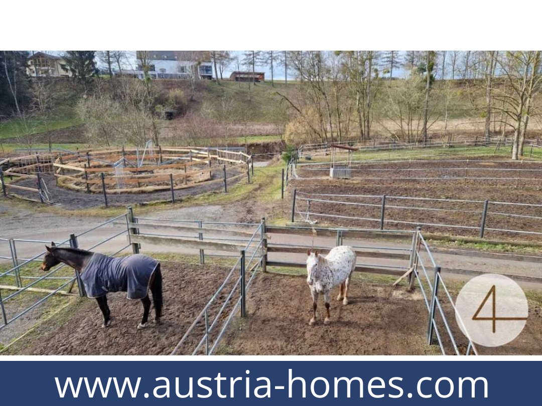 austria-homes-mank-3240-20260118204829-0059401052.jpg