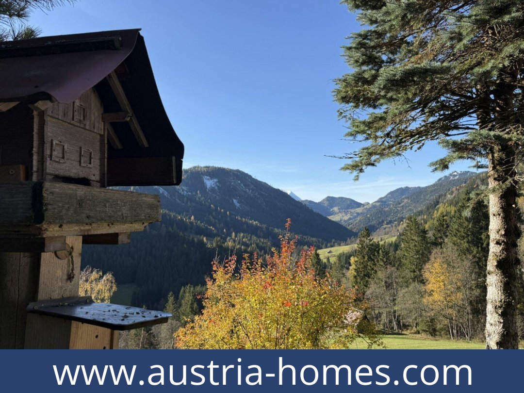 austria-homes-oppenberg-8786-20251202051805-0044811003.jpg austria-homes-oppenberg-8786-20251202051805-0044811003.jpg