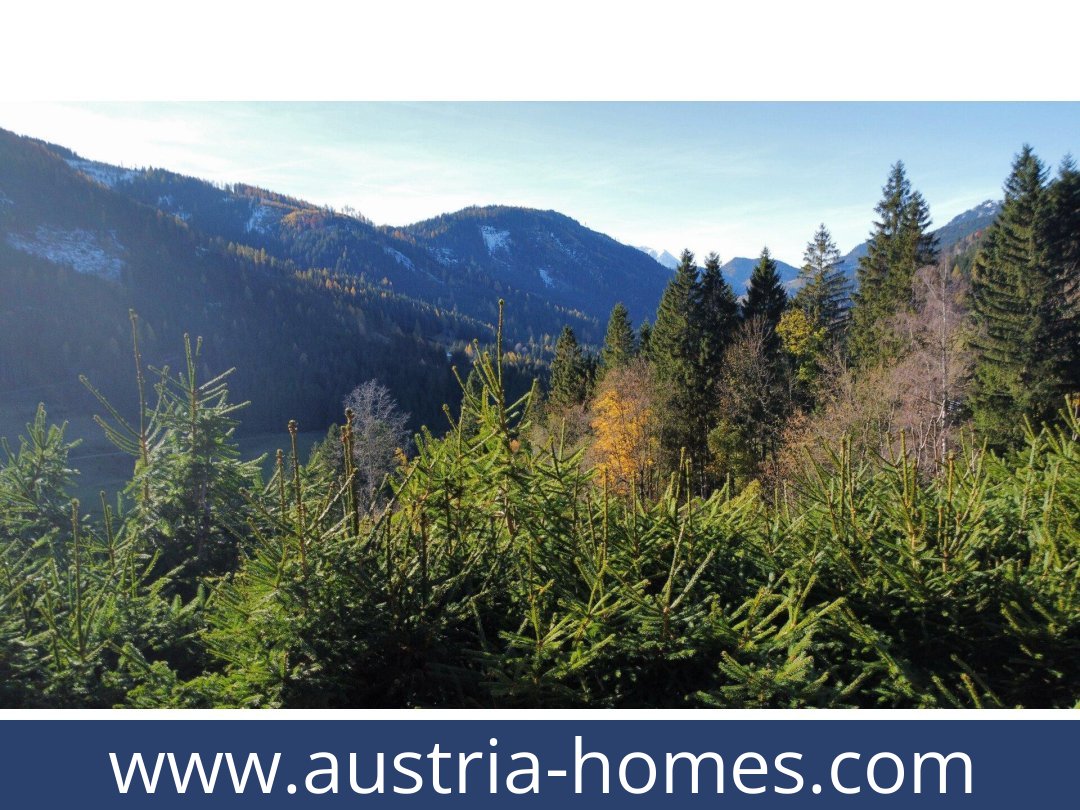 austria-homes-oppenberg-8786-20251202051805-0044811035.jpg austria-homes-oppenberg-8786-20251202051805-0044811035.jpg