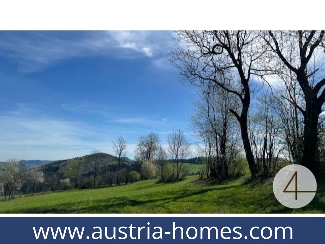 austria-homes-perwarth-3263-20250921114754-0028201002.jpg