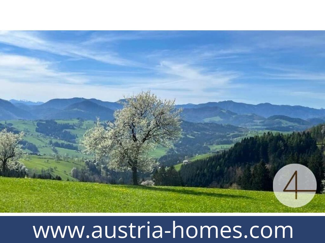 austria-homes-perwarth-3263-20250921114754-0028201003.jpg