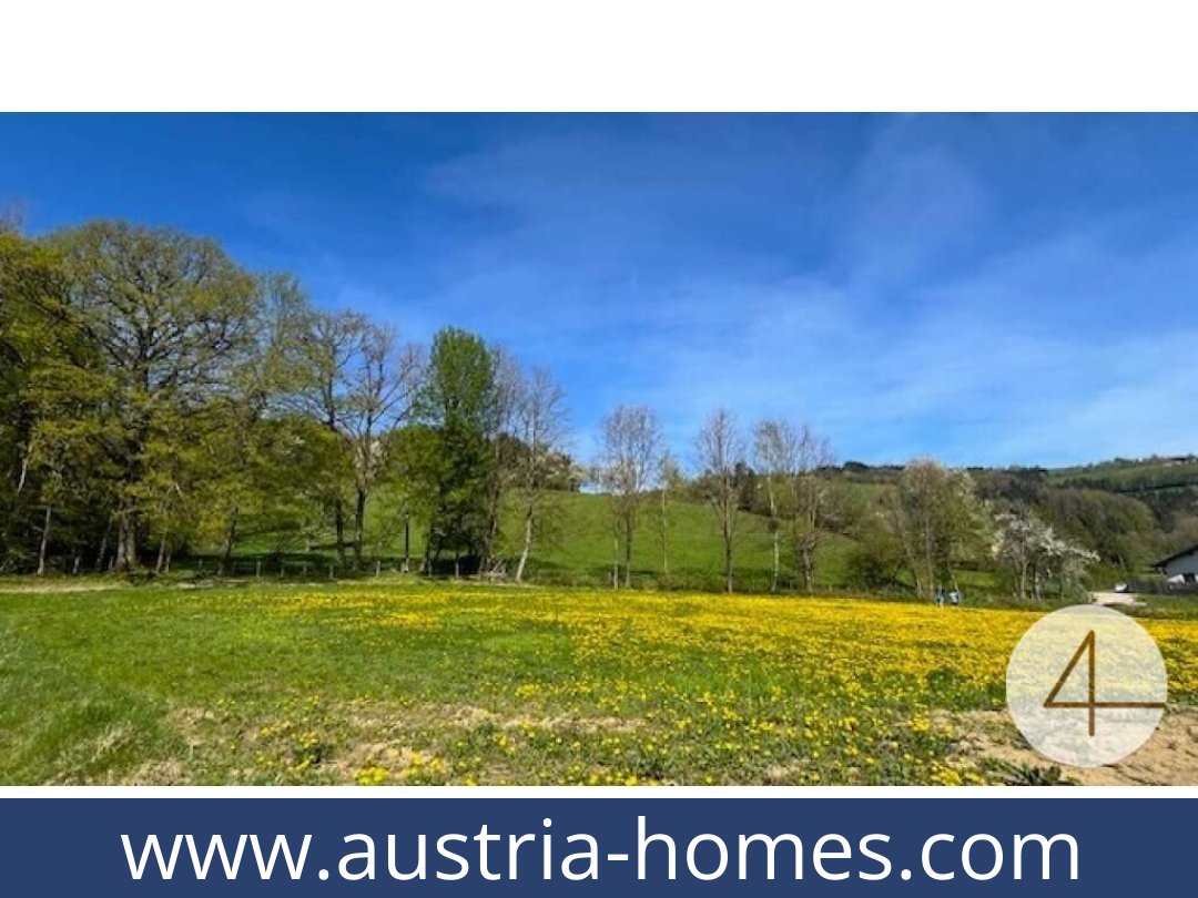 austria-homes-perwarth-3263-20250921114754-0028201004.jpg