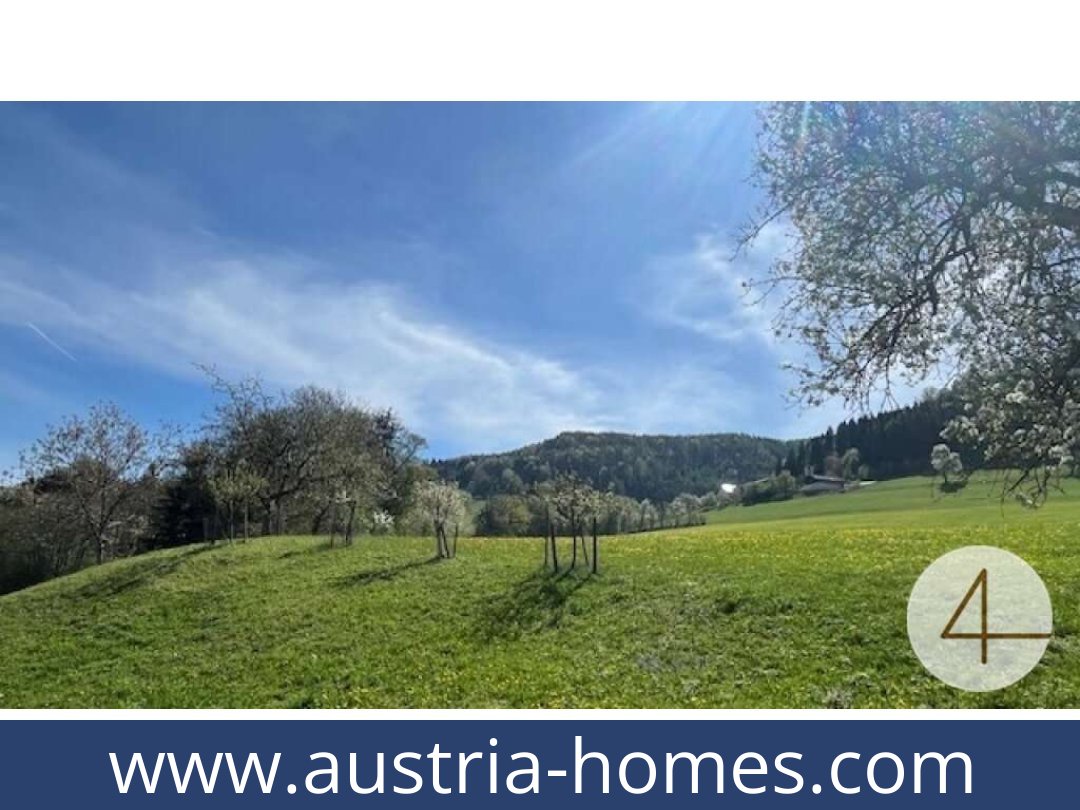 austria-homes-perwarth-3263-20250921114754-0028201006.jpg