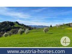 austria-homes-perwarth-3263-20251127124748-0041201007_240.jpg austria-homes-perwarth-3263-20251127124748-0041201007_240.jpg
