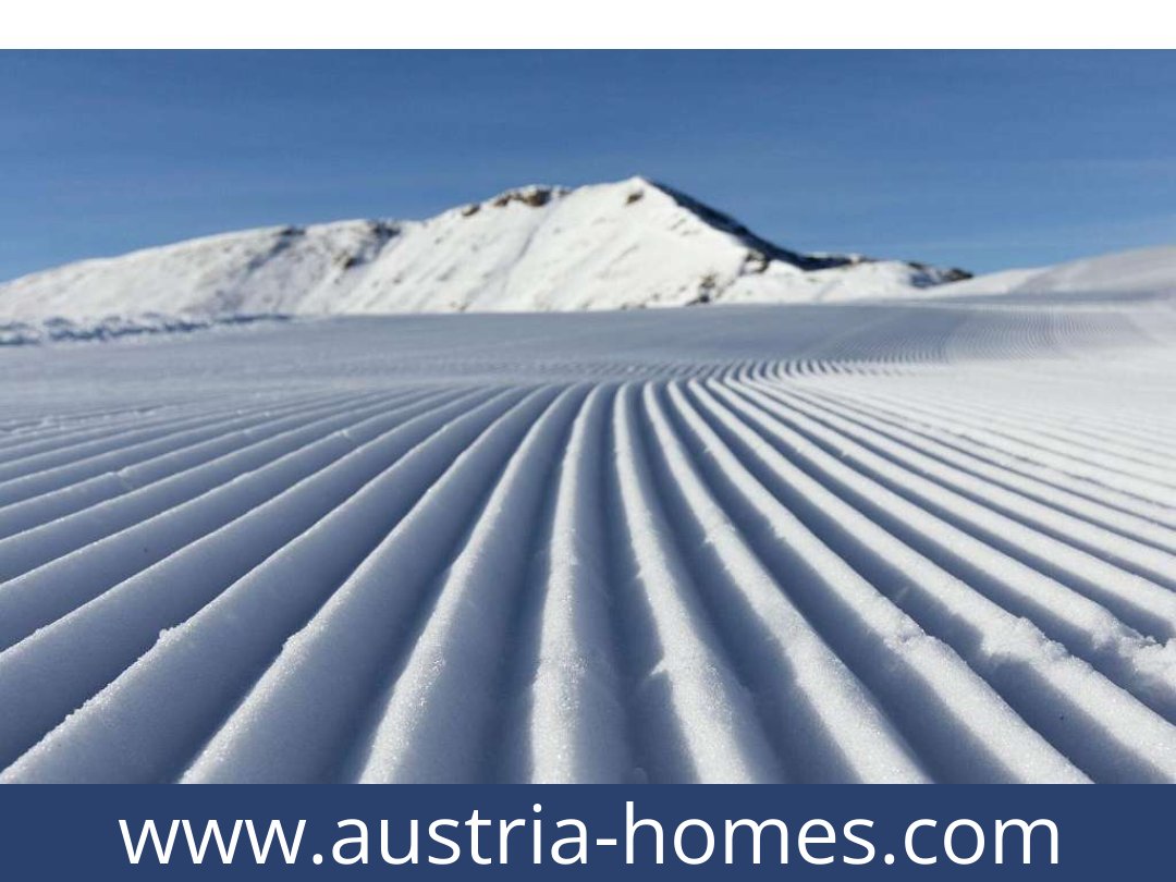 austria-homes-predlitz-8864-20250921191754-0030101003.jpg