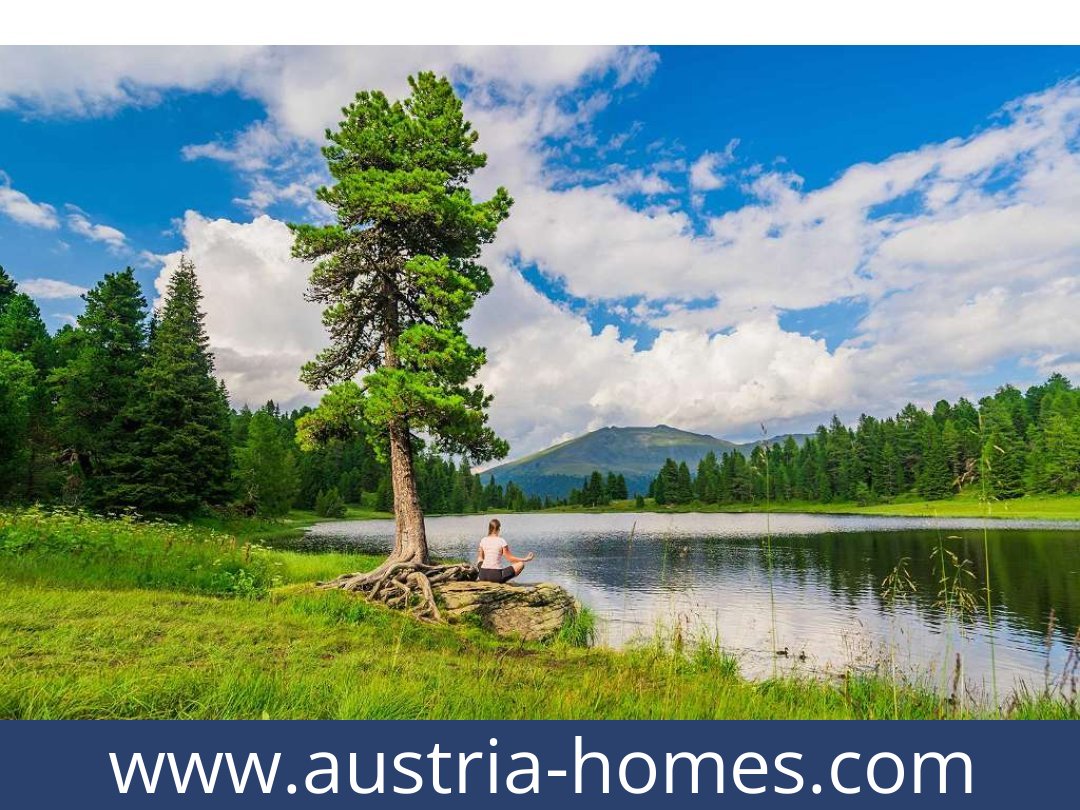 austria-homes-predlitz-8864-20250921191754-0030101004.jpg