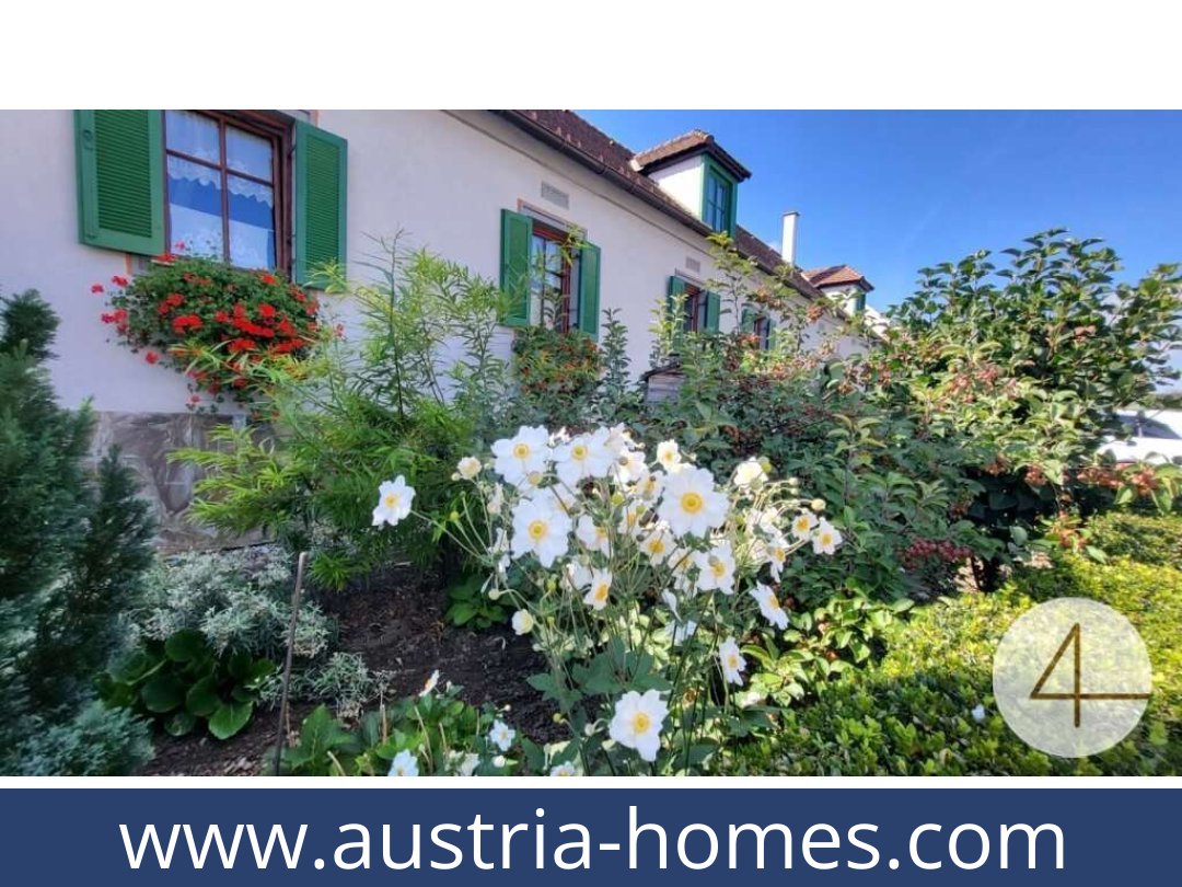 austria-homes-rohrenbach-3592-20250919061731-0012601007.jpg