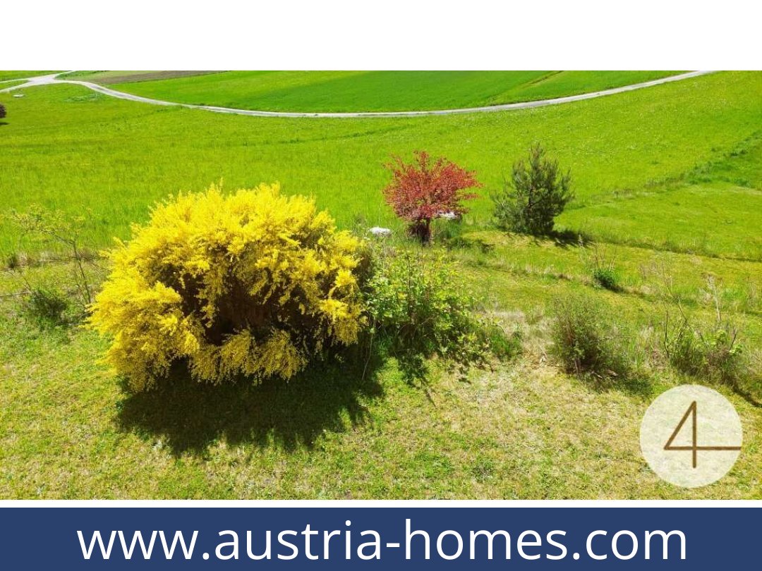 austria-homes-schonbach-3633-20250918214741-0009801011.jpg