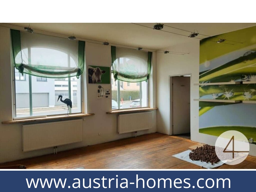 austria-homes-schwarzenau-3900-20261021051543-ecace134-0057801009.jpg