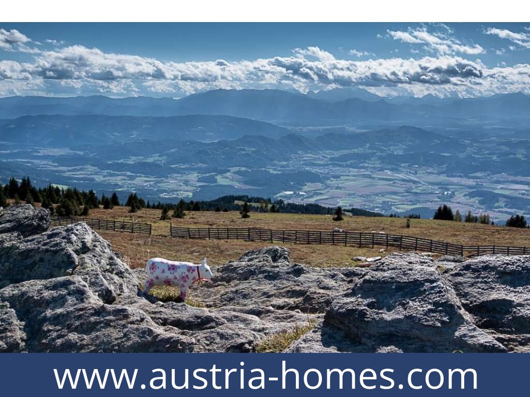 austria-homes-st-gertraud-9413-20261021055757-7490ac73-0034901021.jpg
