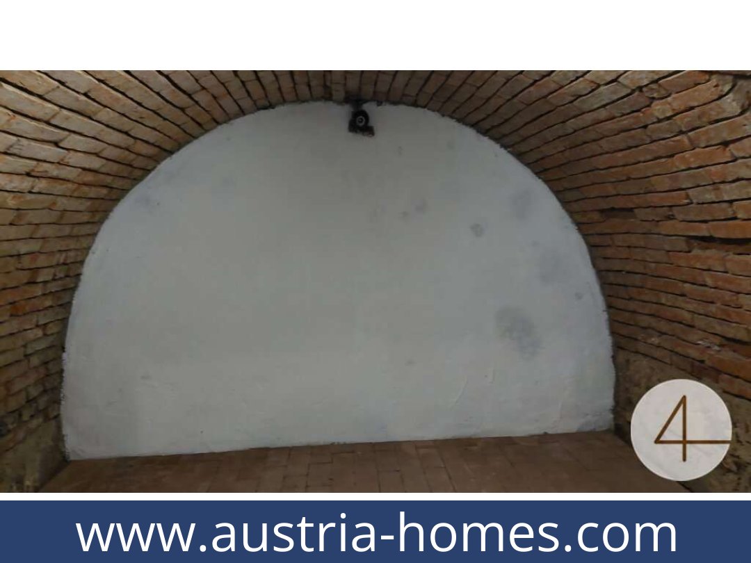austria-homes-utzenaich-4972-20250919051727-0012501039.jpg