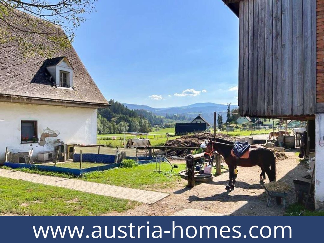 austria-homes-voitsberg-8570-20250919004745-0010601028.jpg