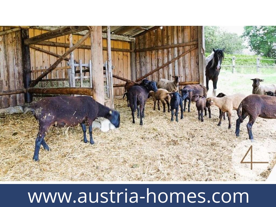 austria-homes-windigsteig-3841-20260119064756-0061301002.jpg