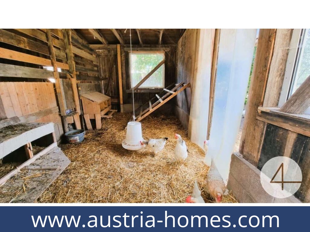 austria-homes-windigsteig-3841-20260119064756-0061301023.jpg