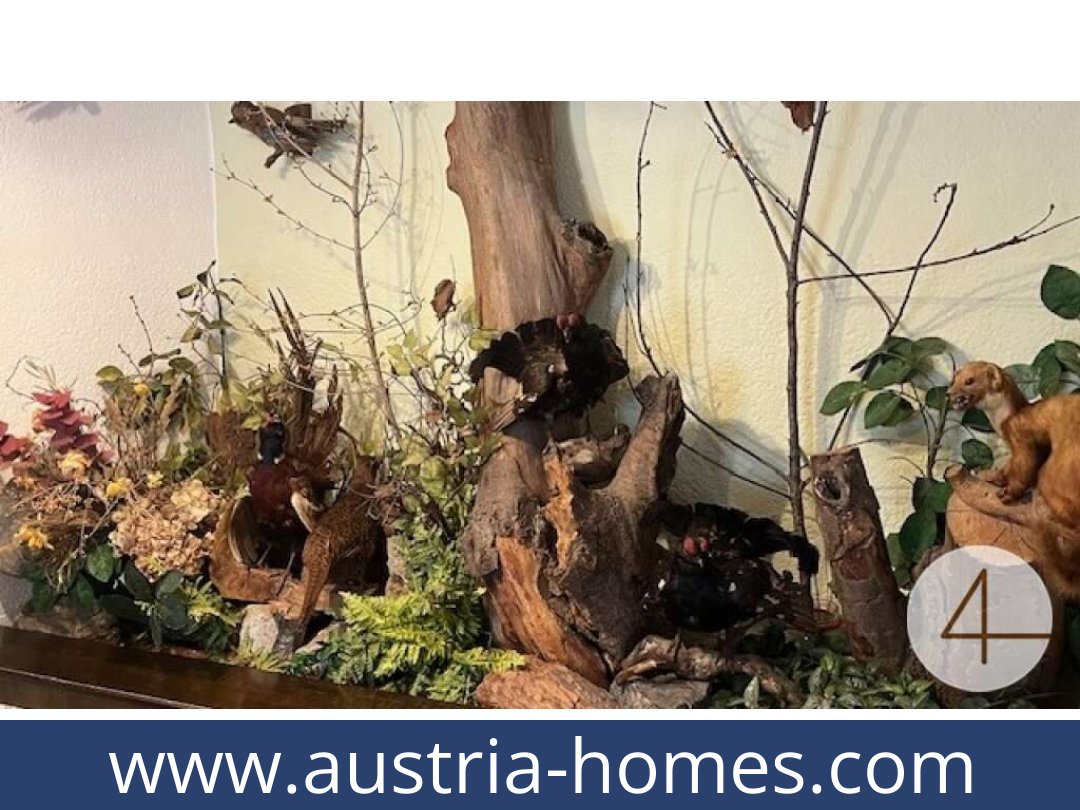 austria-homes-ybbsitz-3341-20261021060716-561b5fce-0021601022.jpg austria-homes-ybbsitz-3341-20261021060716-561b5fce-0021601022.jpg