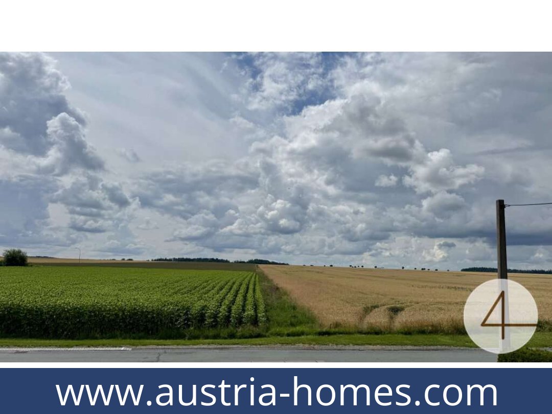 austria-homes-zissersdorf-2094-20250920111757-0021301016.jpg